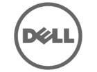 We support Dell devices
