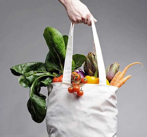 Hand holding handles of cloth grocery bag full of produce